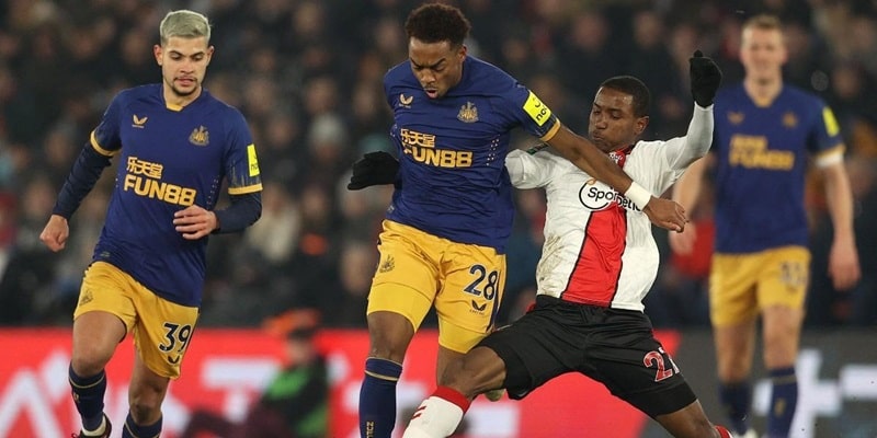 Trận Newcastle United vs Southampton Vào 21h Ngày 17/8/2024
